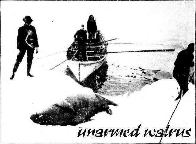 Unarmed Walrus - Unarmed Walrus