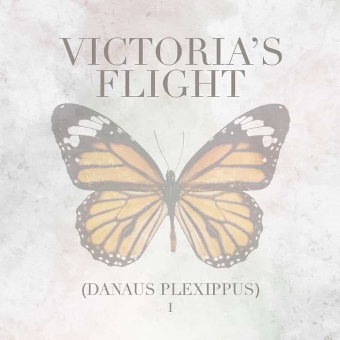 Cash Money - Victoria's Flight