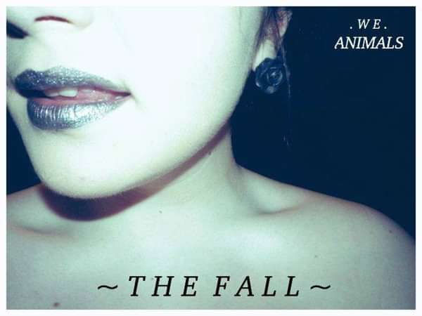 The Fall EP (Download) - We Animals