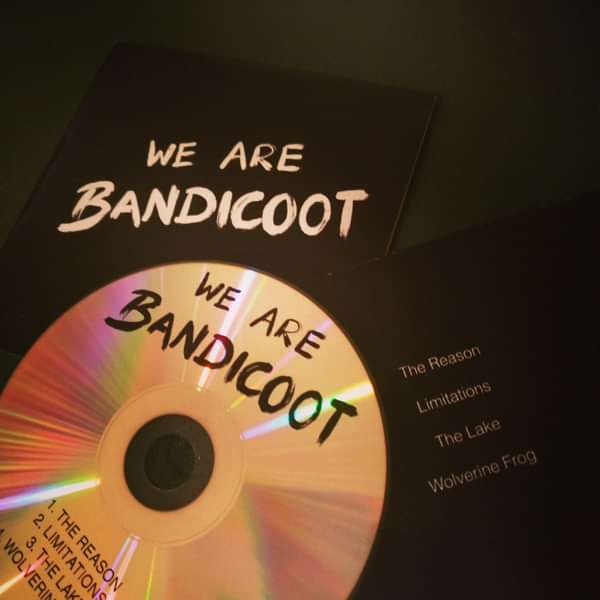 Temper Album + The Reason EP + Artwork Poster - We are Bandicoot