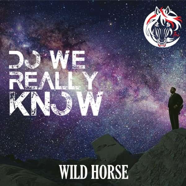 Do We Really Know - Wild Horse