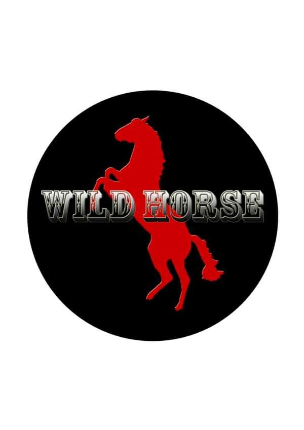 No Name - Wild Horse
