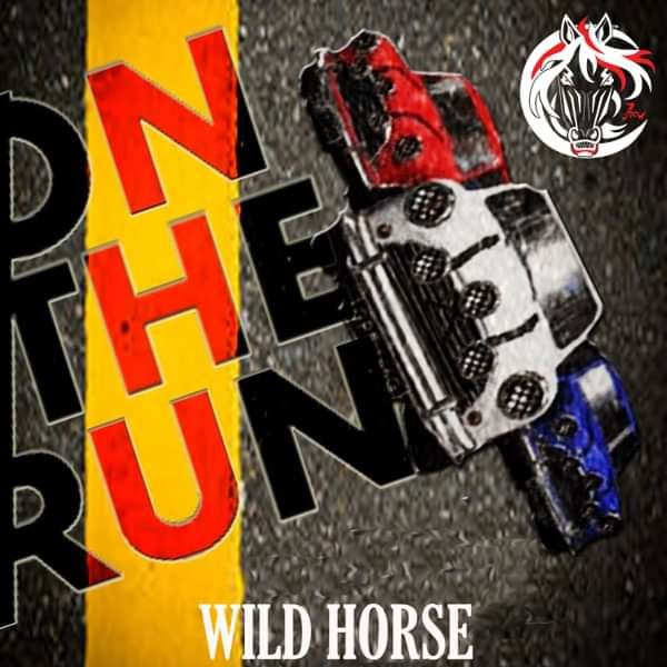 On The Run - Wild Horse
