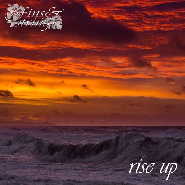 Rise Up | Charity Single | Fins and Strings - Wille and the Bandits