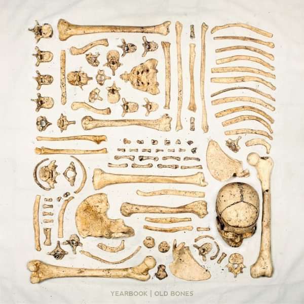 'Old Bones' EP (Digital Download) - Yearbook